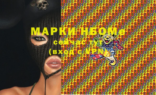 гашик Аркадак