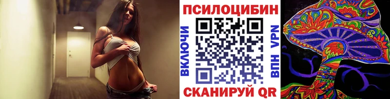 купить сайты Губаха Галлюциногенные грибы Psilocybe
